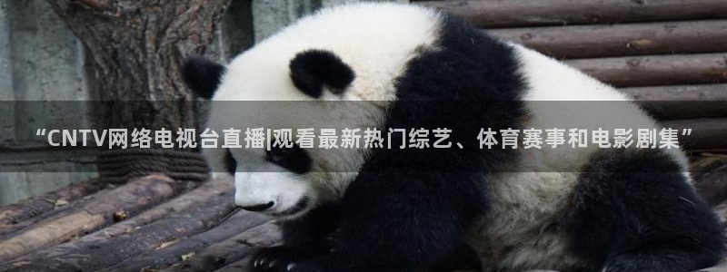 柠檬体育直播在线观看免费