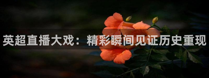 柠檬直播jrs：英超直播大戏：精彩瞬间见证历史重现