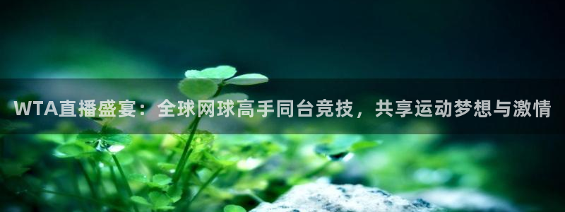 柠檬直播视频：WTA直播盛宴：全球网球高手同台竞技，共享运动梦想与激情