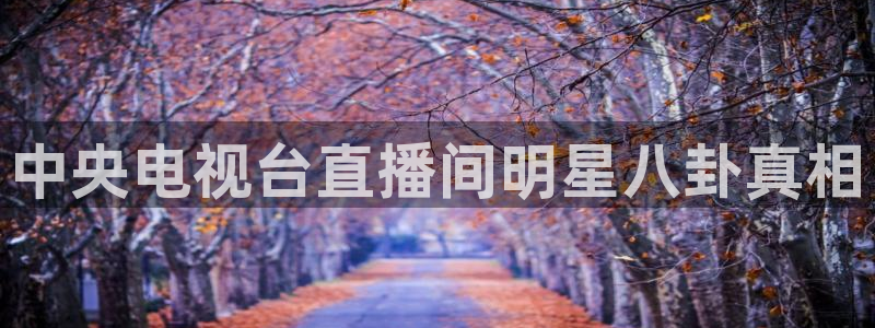 柠檬直播nba篮球：中央电视台直播间明星八卦真相