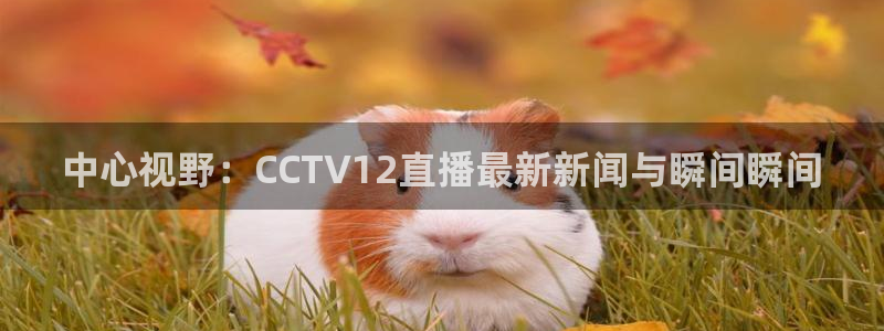 柠檬直播体育nba比赛：中心视野：CCTV12直播最新新闻与瞬间瞬间