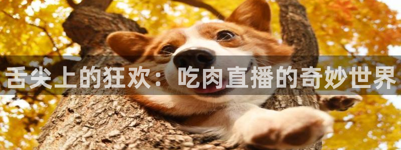 cba柠檬直播：舌尖上的狂欢：吃肉直播的奇妙世界