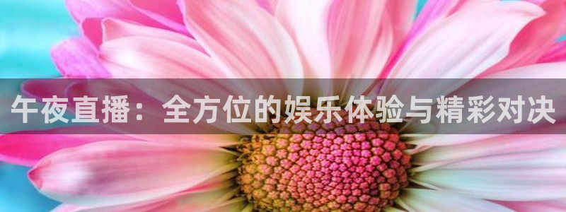 柠檬体育在线直播nba：午夜直播：全方位的娱乐体验与精彩对决