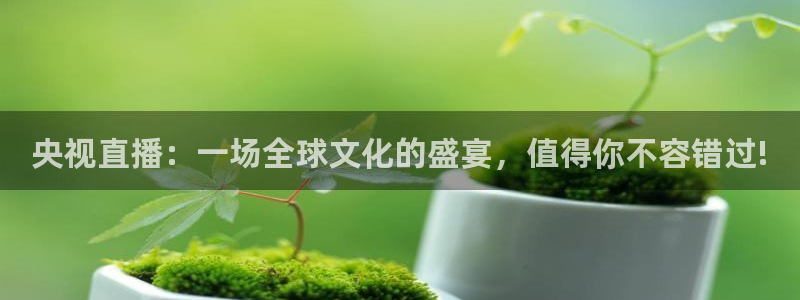 柠檬体育直播高清：央视直播：一场全球文化的盛宴，值得你不容错过!