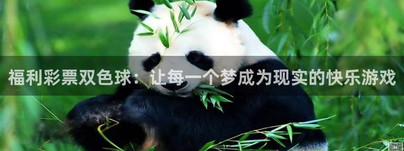 足球比赛直播柠檬：福利彩票双色球：让每一个梦成为现实的快乐游戏