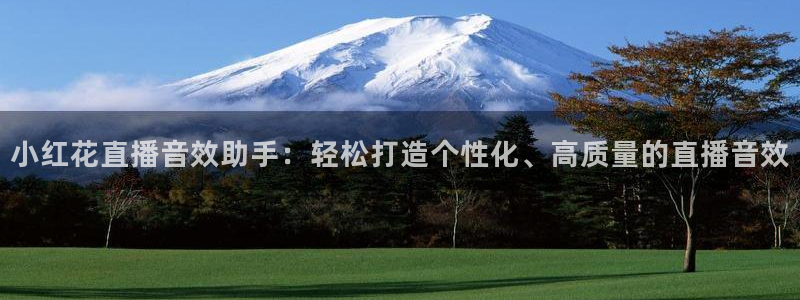 柠檬直播体育nba：小红花直播音效助手：轻松打造个性化、高质量的直播音效